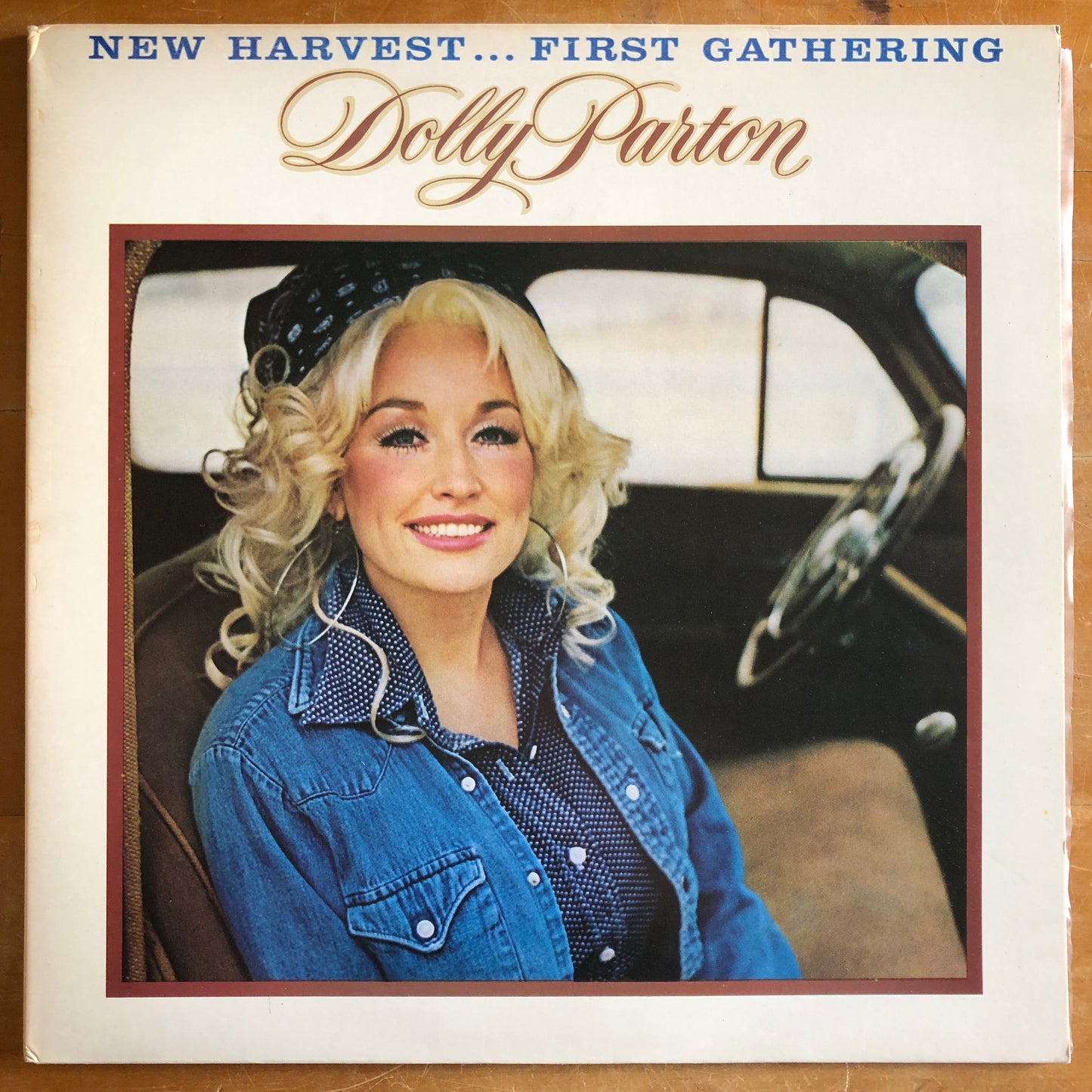 Dolly Parton - New Harvest... First Gathering
