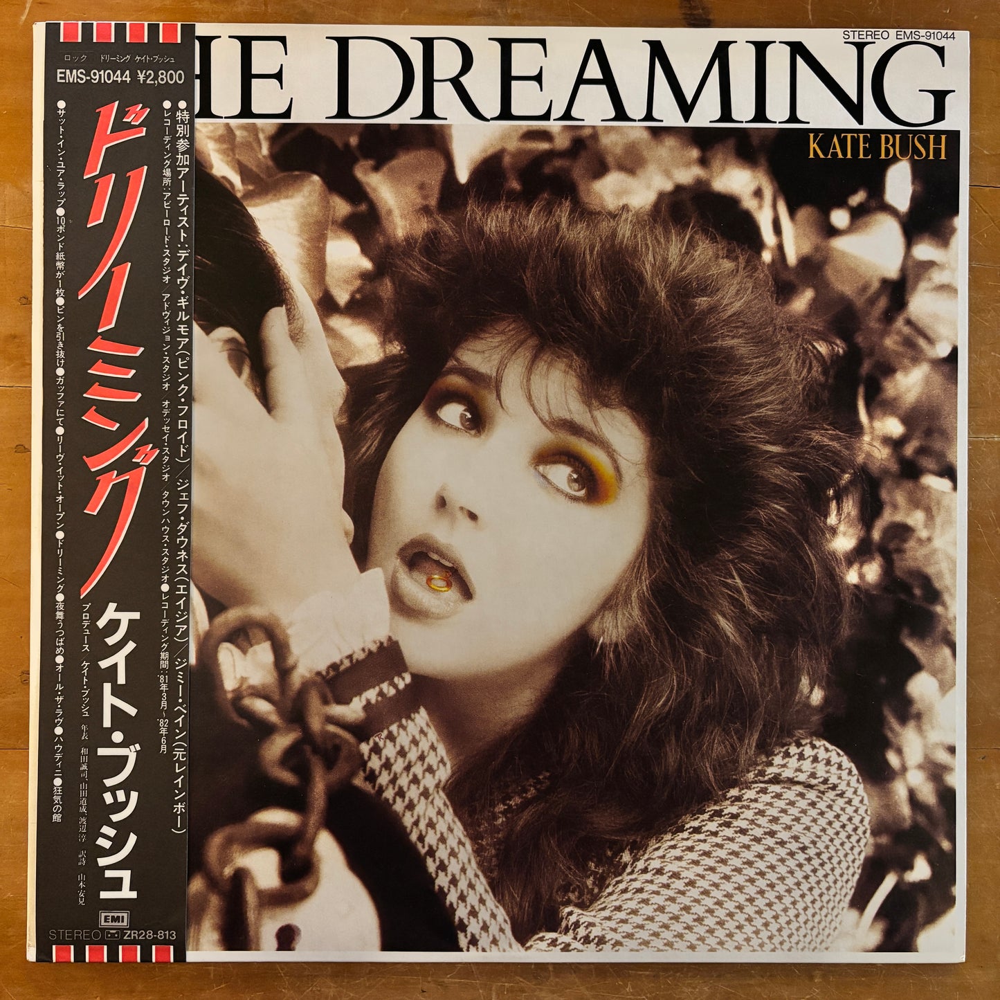 Kate Bush - The Dreaming