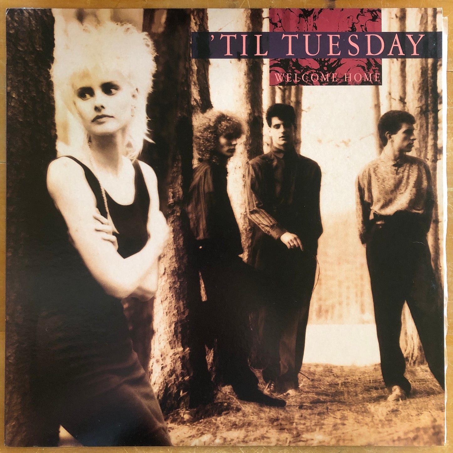 'Til Tuesday - Welcome Home