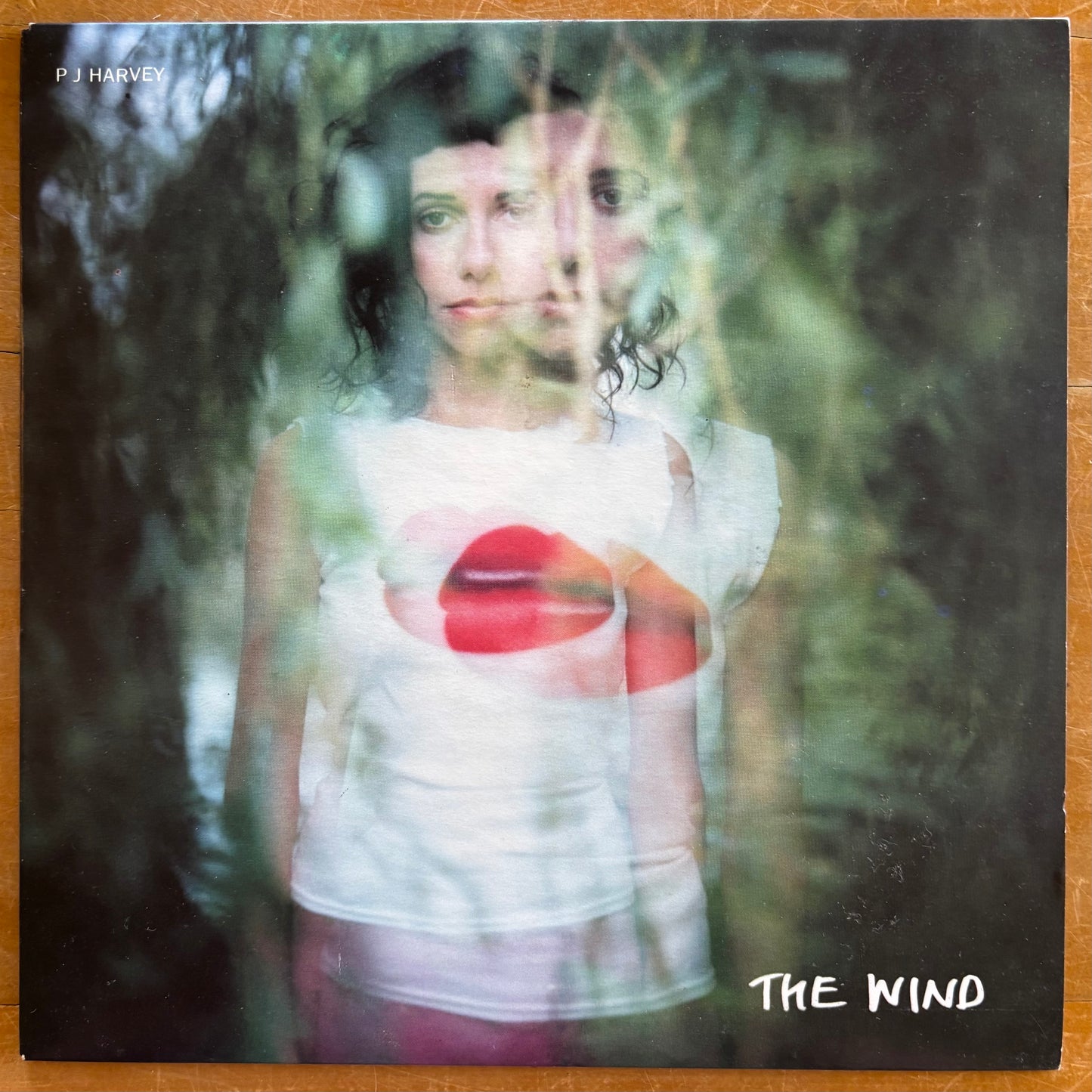 PJ Harvey - The Wind (7" single)