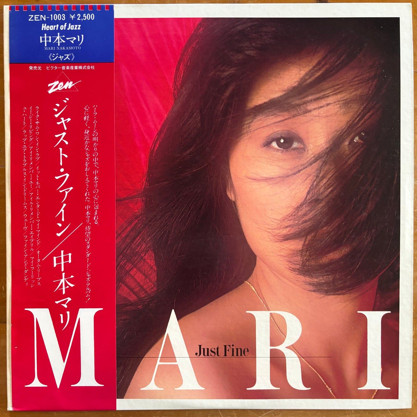 Mari Nakamoto - Just Fine