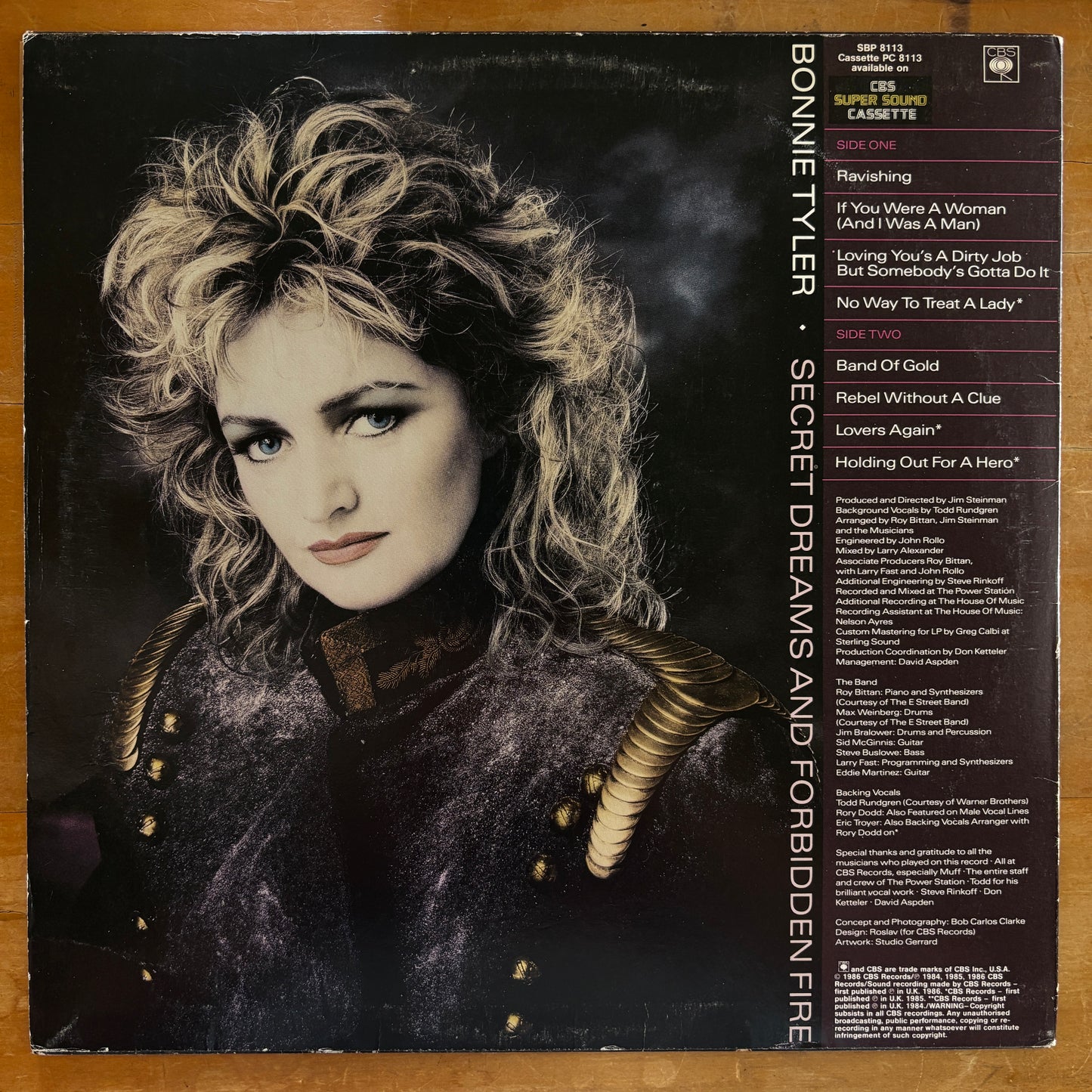 Bonnie Tyler - Secret Dreams and Forbidden Fire