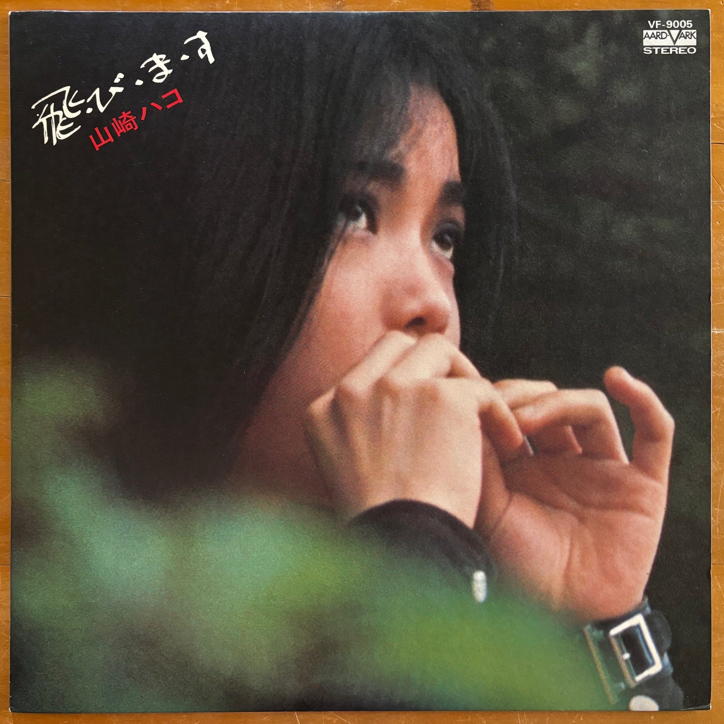 Hako Yamasaki - Tobimasu (Fly)