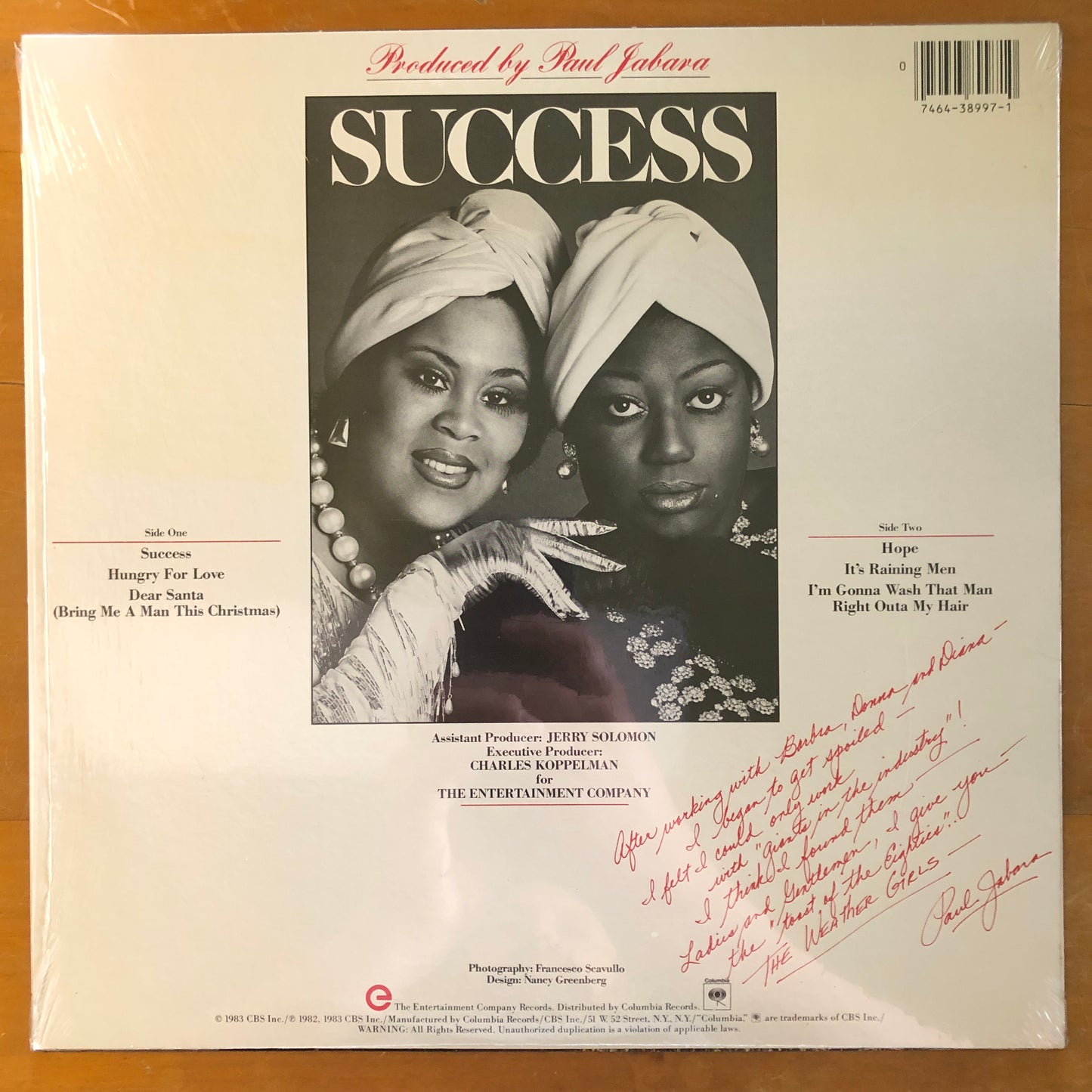 The Weather Girls - Success