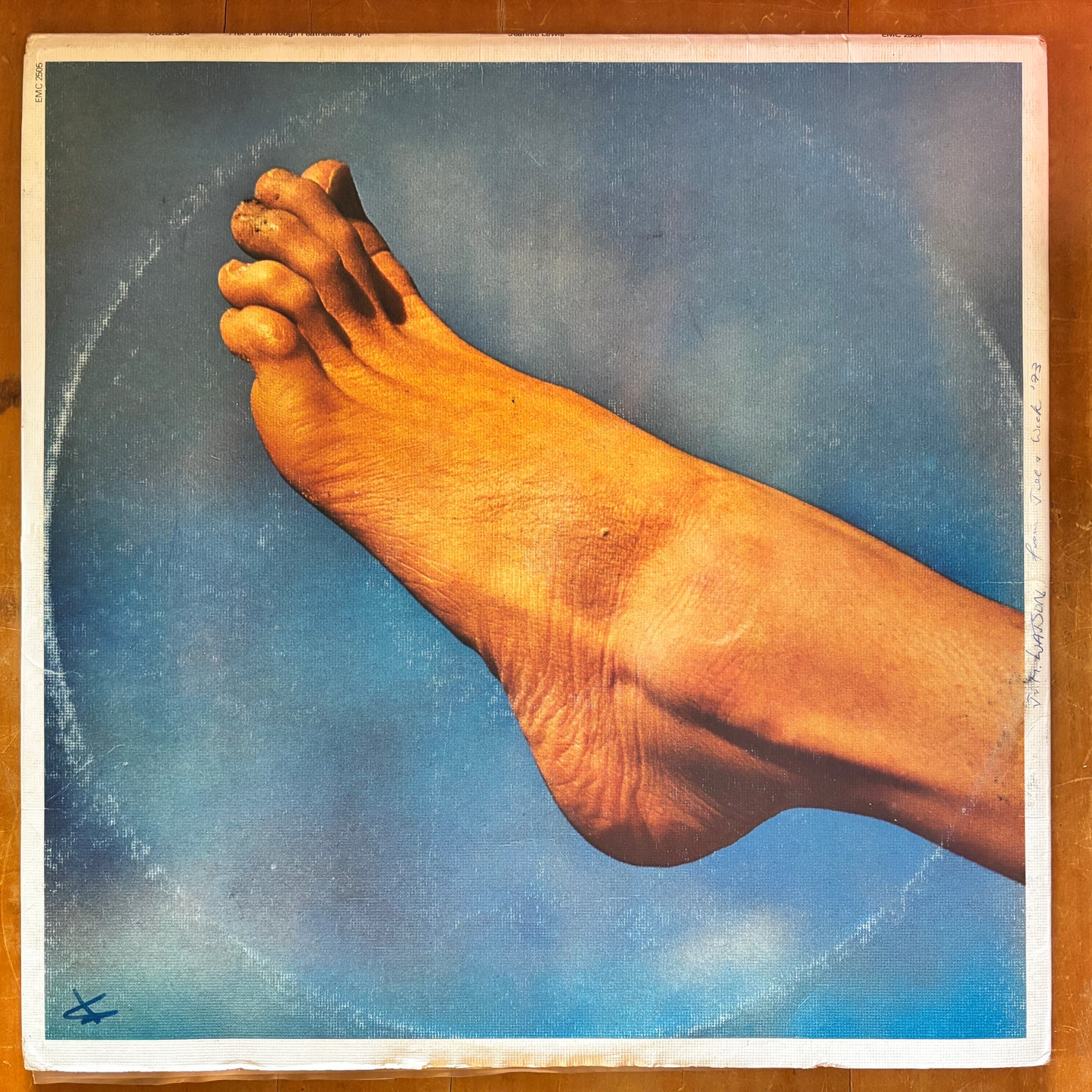 Jeannie Lewis - Free Fall Through Featherless Flight