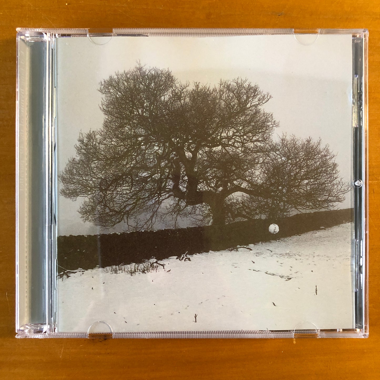 k.d. lang - Hymns Of The 49th Parallel (CD)