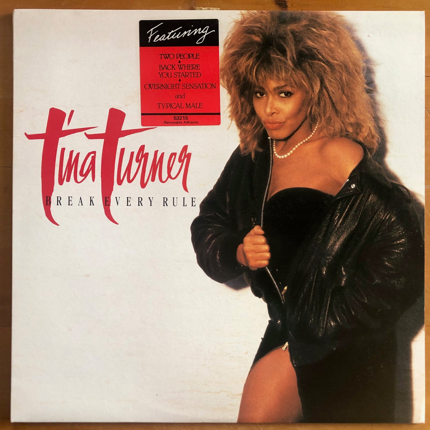 Tina Turner - Break Every Rule