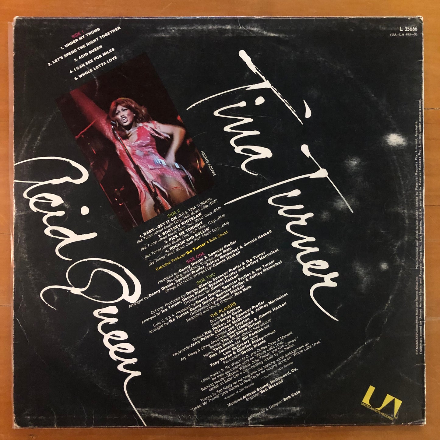 Tina Turner - Acid Queen