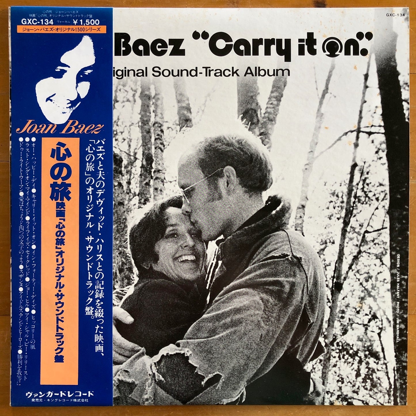 Joan Baez - Carry It On