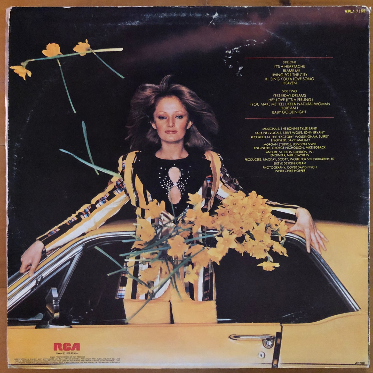 Bonnie Tyler - Natural Force