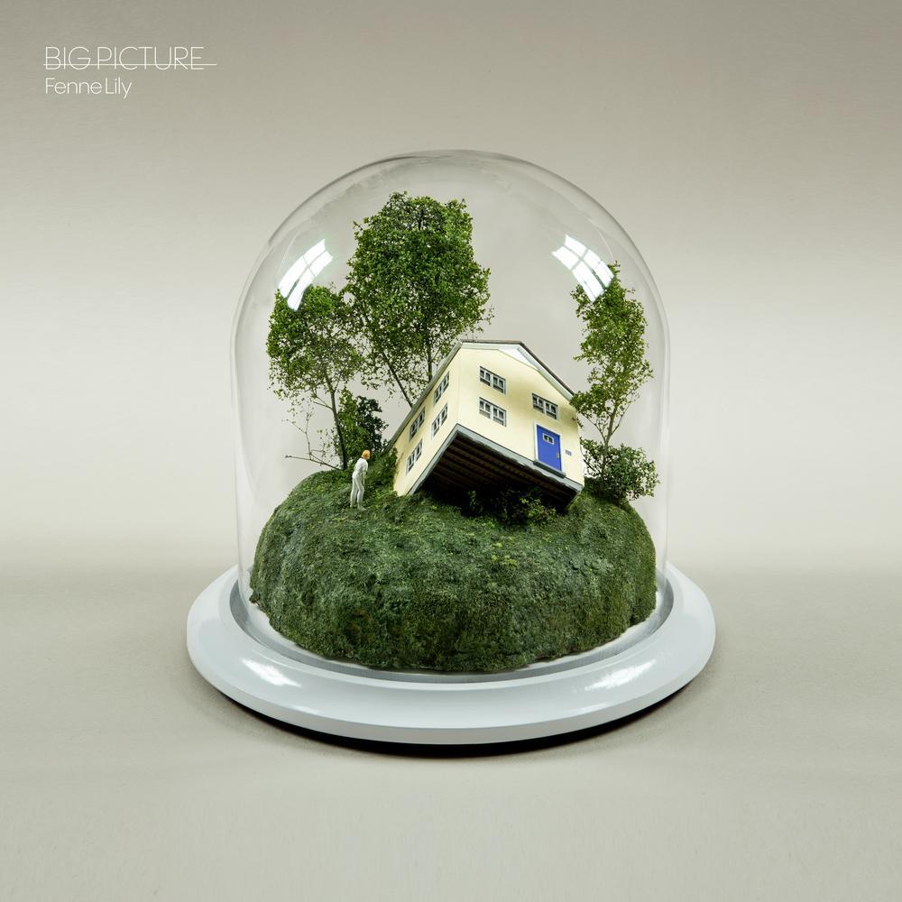Fenne Lily - Big Picture (CD)