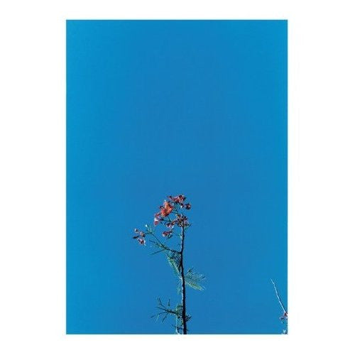 Joanna Newsom - Joanna Newsom & The Ys Street Band