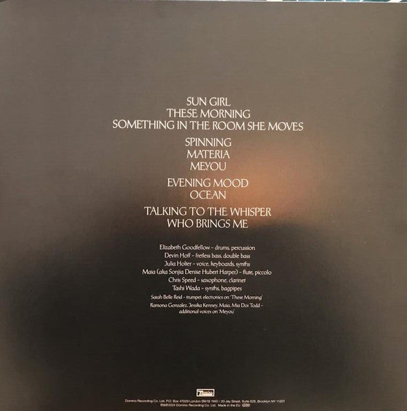 Julia Holter - Something In The Room She Moves (2LP)