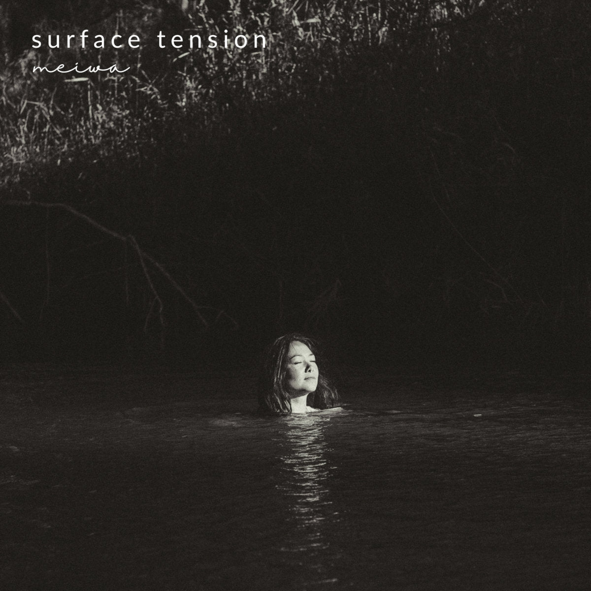 Meiwa - Surface Tension