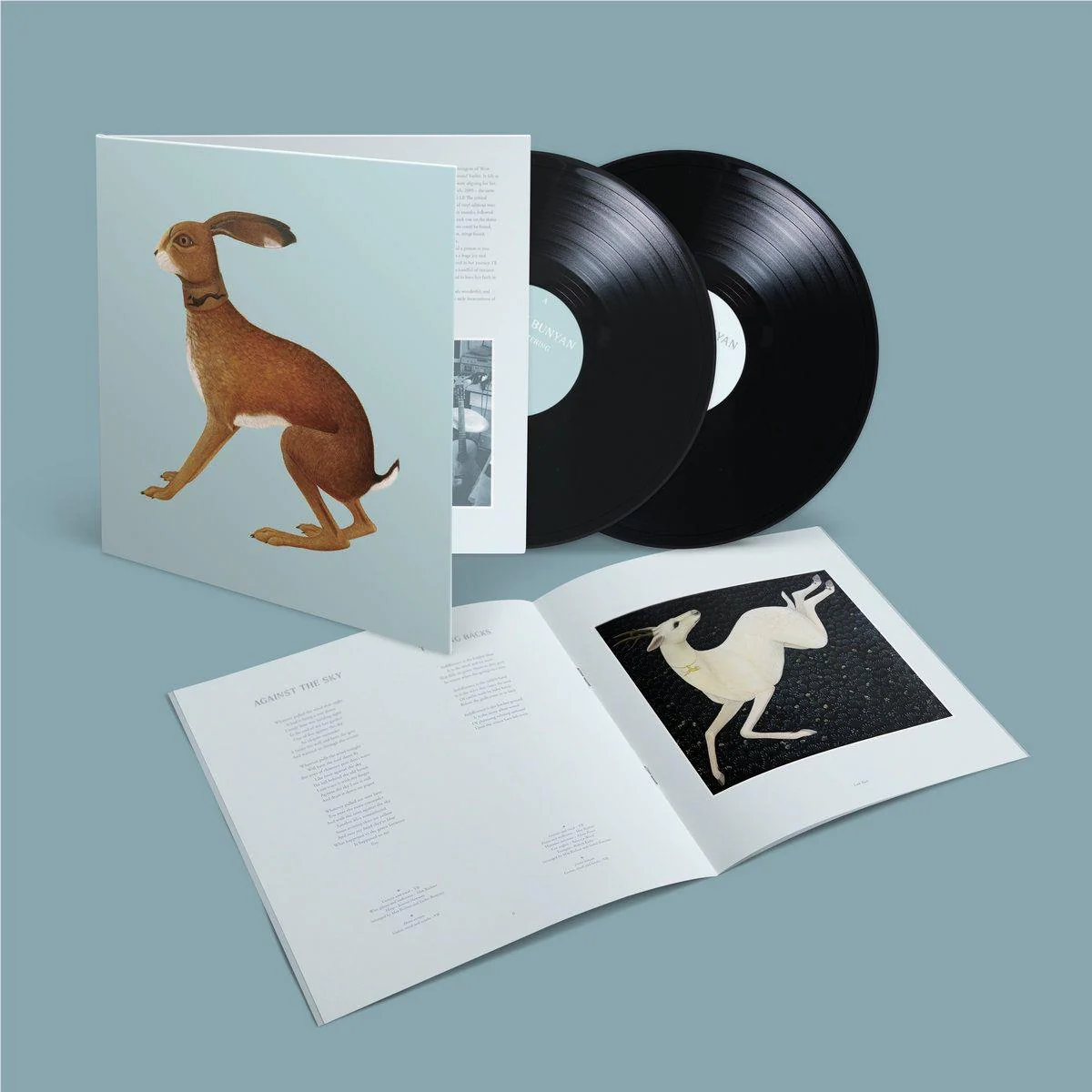 Vashti Bunyan - Lookaftering (2xLP)