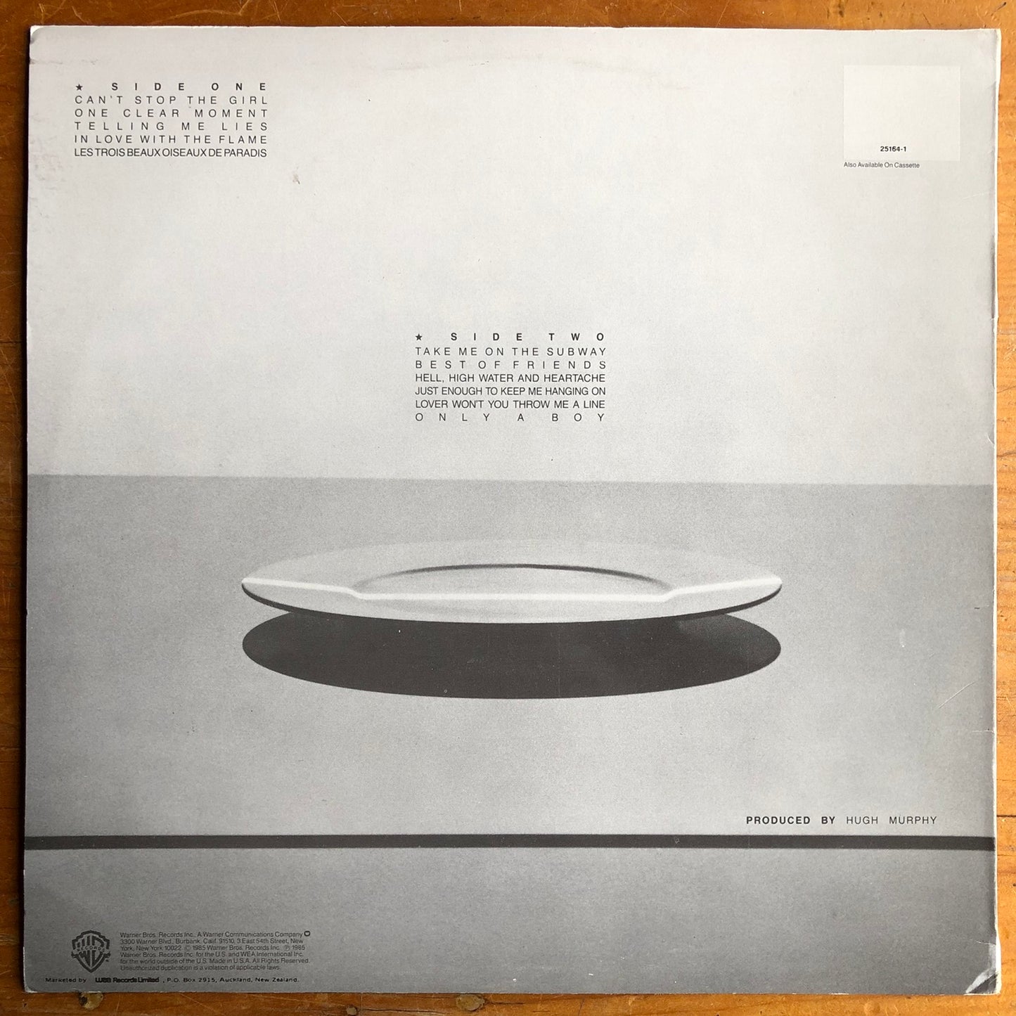 Linda Thompson - One Clear Moment