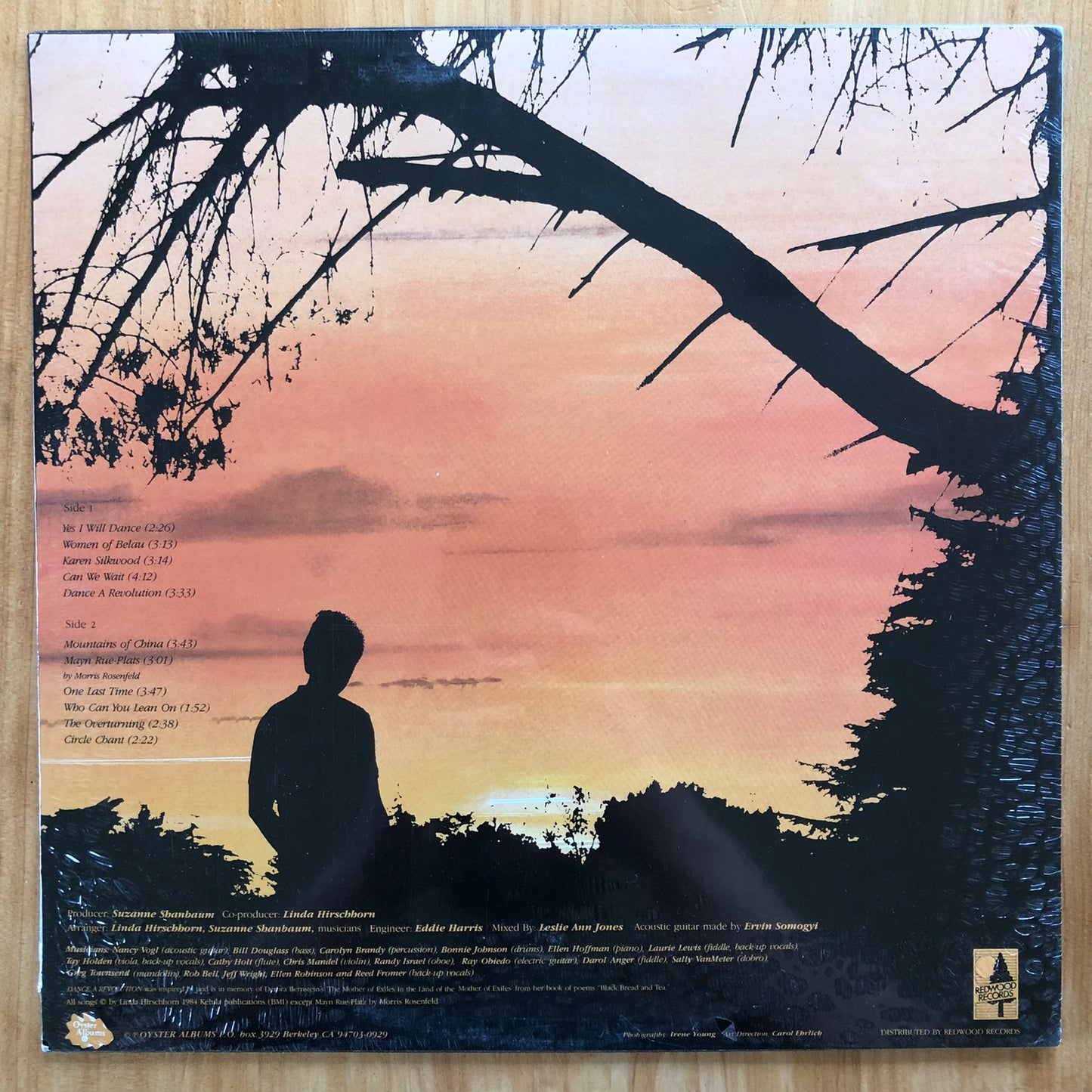 Linda Hirschhorn - Skies Ablaze