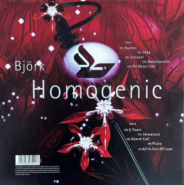 Björk - Homogenic