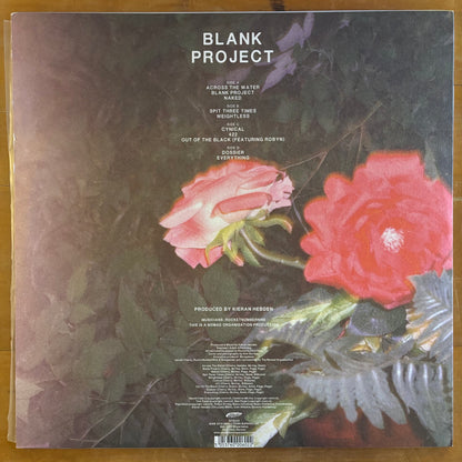 Neneh Cherry - Blank Project (2xLP)