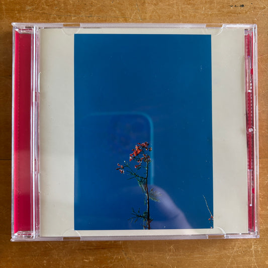 Joanna Newsom and the Ys Street Band - E.P. (CD)