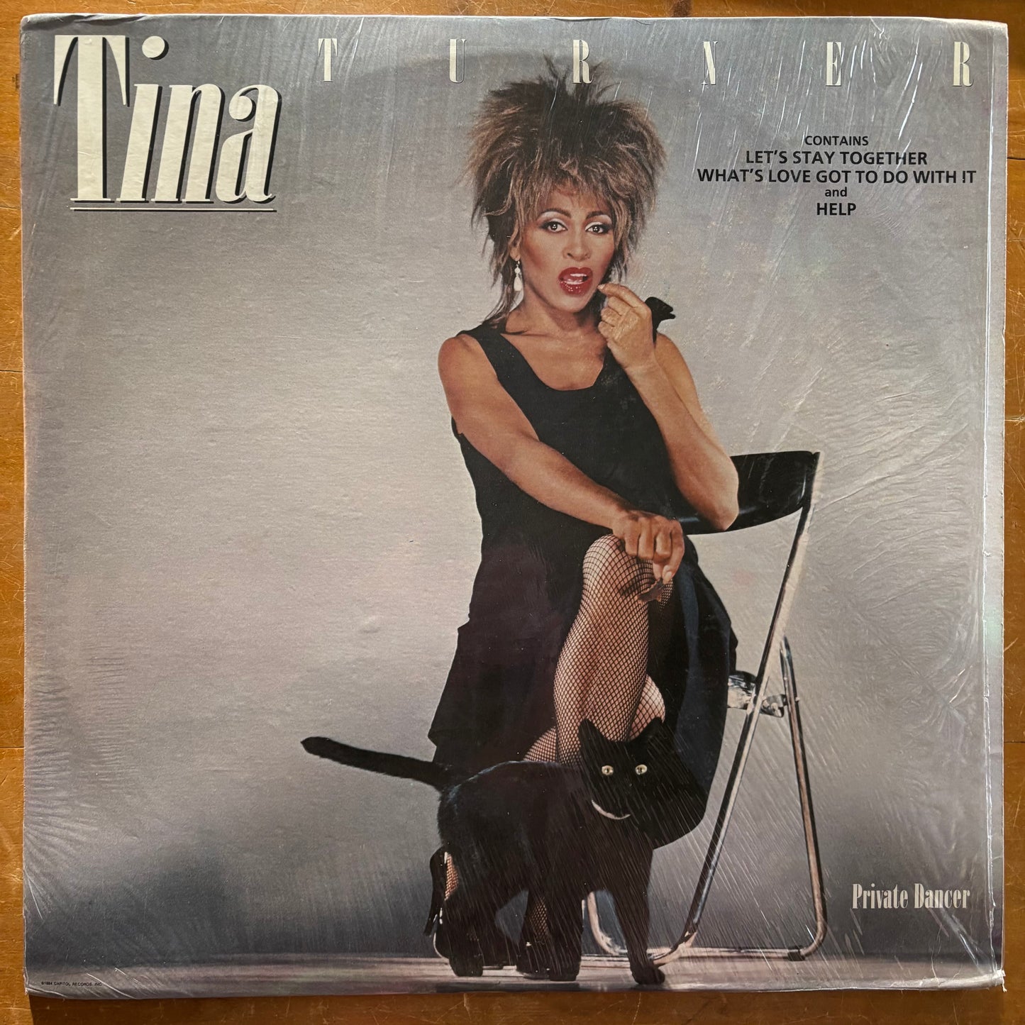 Tina Turner - Private Dancer