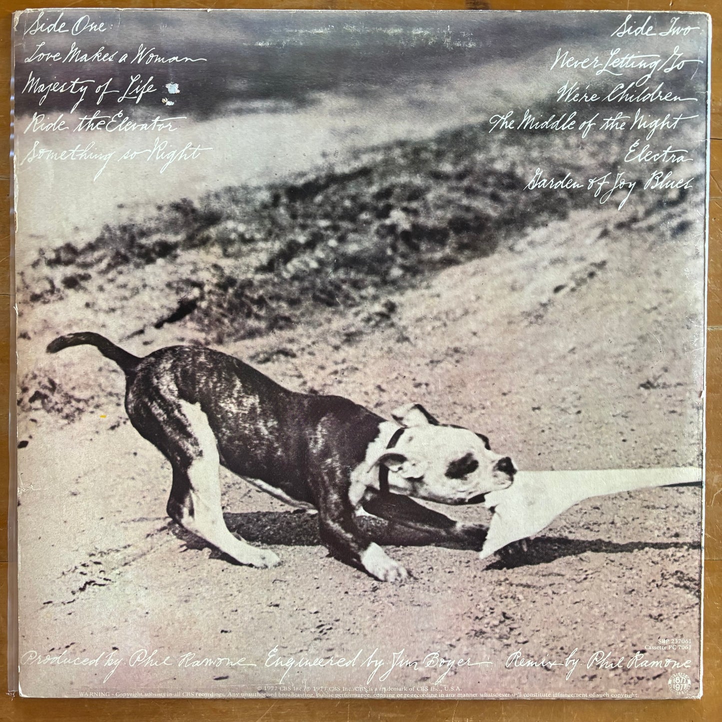 Phoebe Snow - Never Letting Go