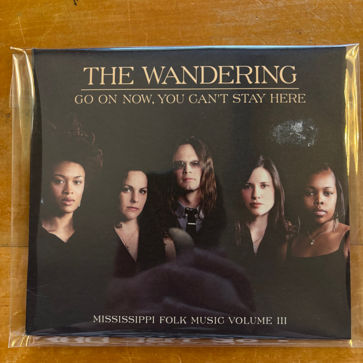 The Wandering - Go Now you Can't Stay Here (CD)