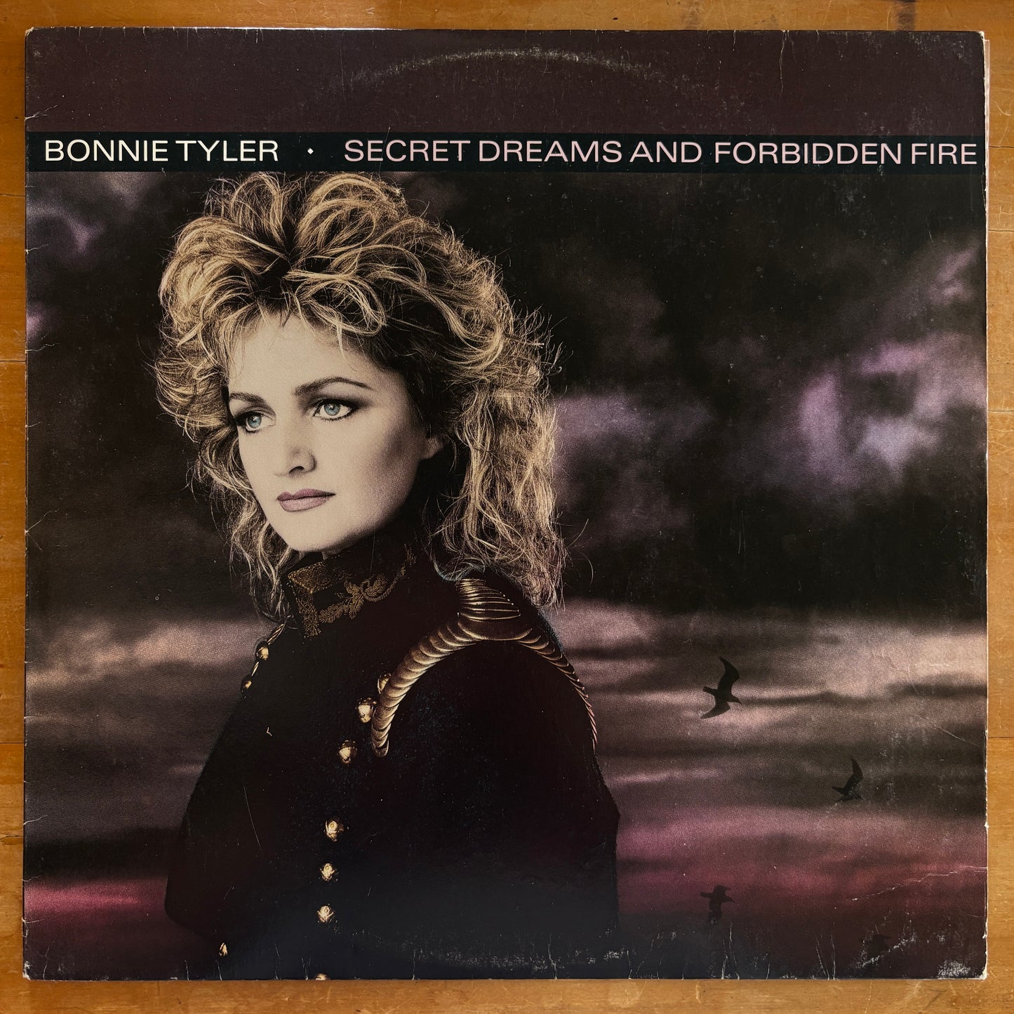 Bonnie Tyler - Secret Dreams and Forbidden Fire