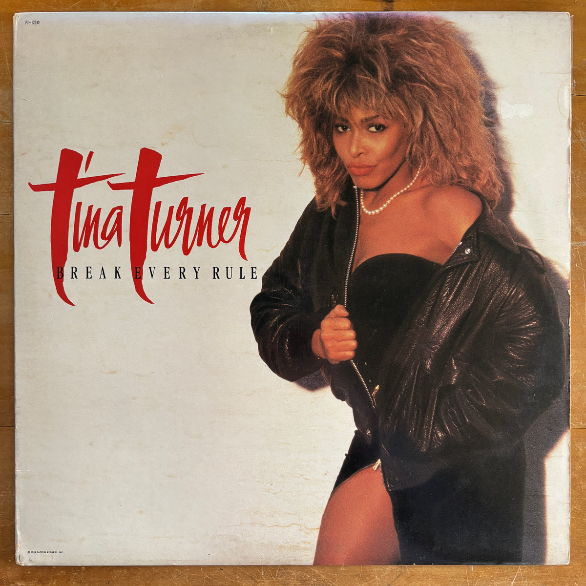Tina Turner - Break Every Rule