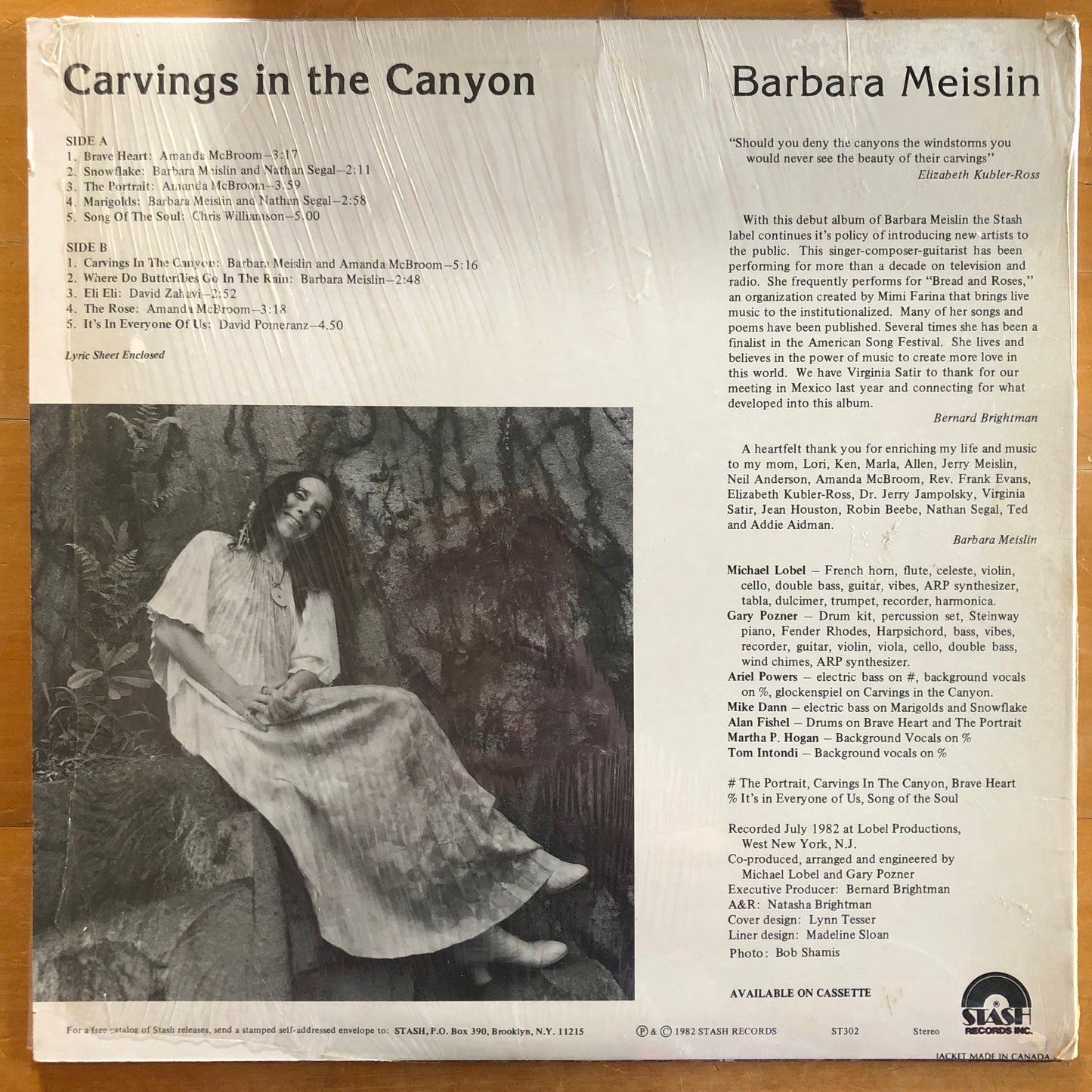 Barbara Meislin - Carvings In The Canyon