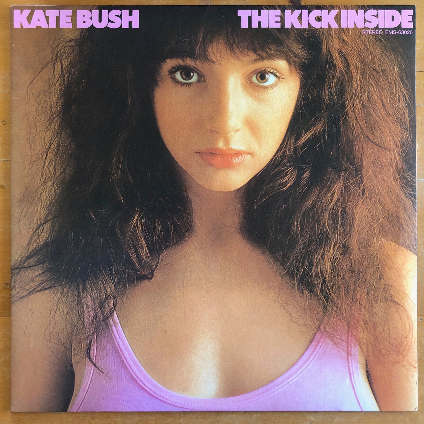 Kate Bush - The Kick Inside