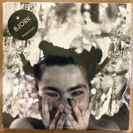Björk - Big Time Sensuality (CD)