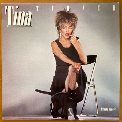 Tina Turner - Private Dancer