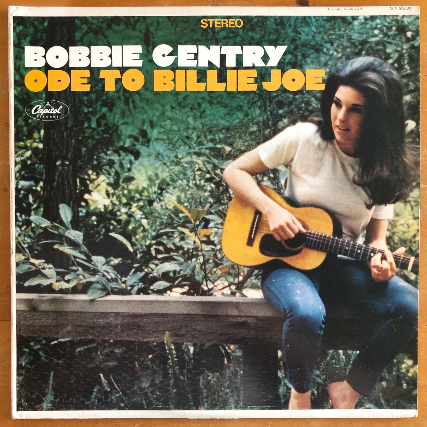 Bobbie Gentry - Ode To Billie Joe