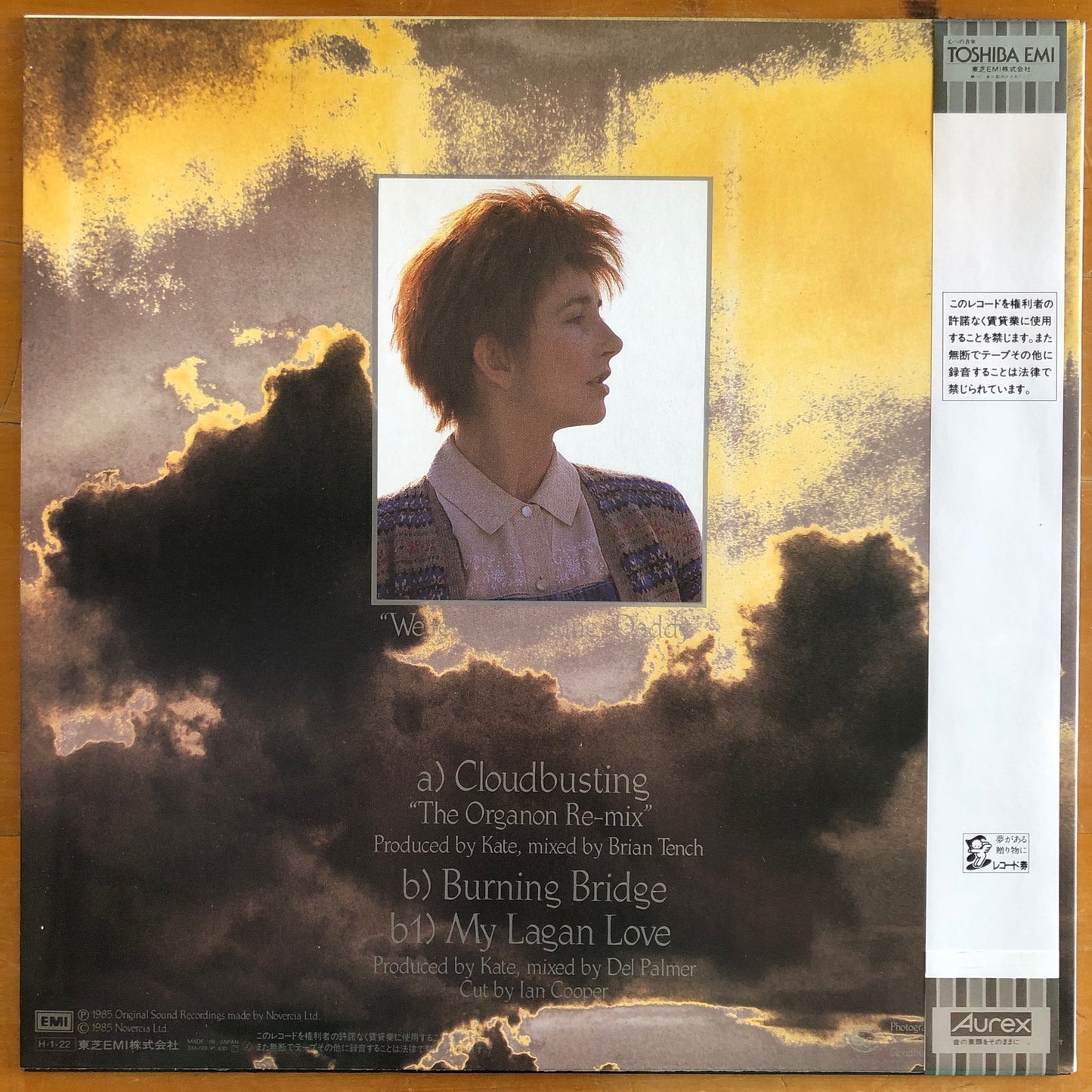 Kate Bush - Cloudbusting (12" single)