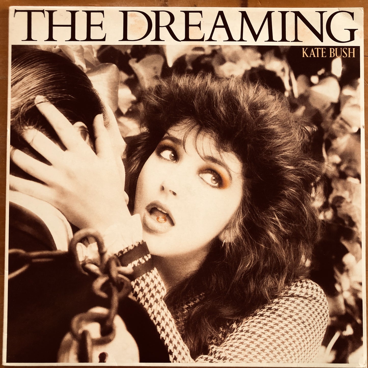 Kate Bush - The Dreaming