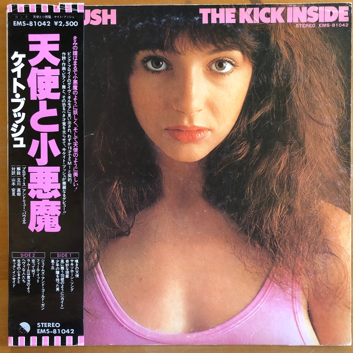 Kate Bush - The Kick Inside