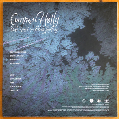 Common Holly - When I Say To You Black Lightning