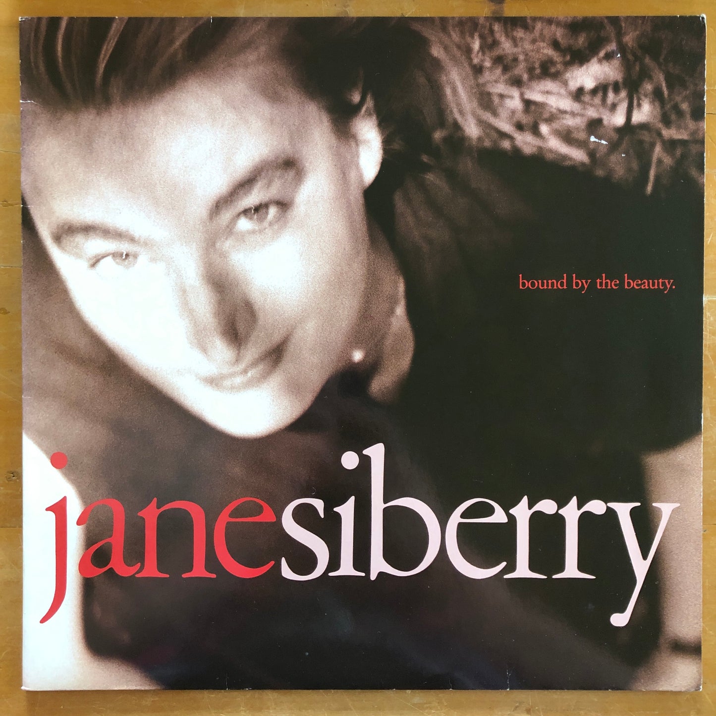 Jane Siberry - Bound By The Beauty