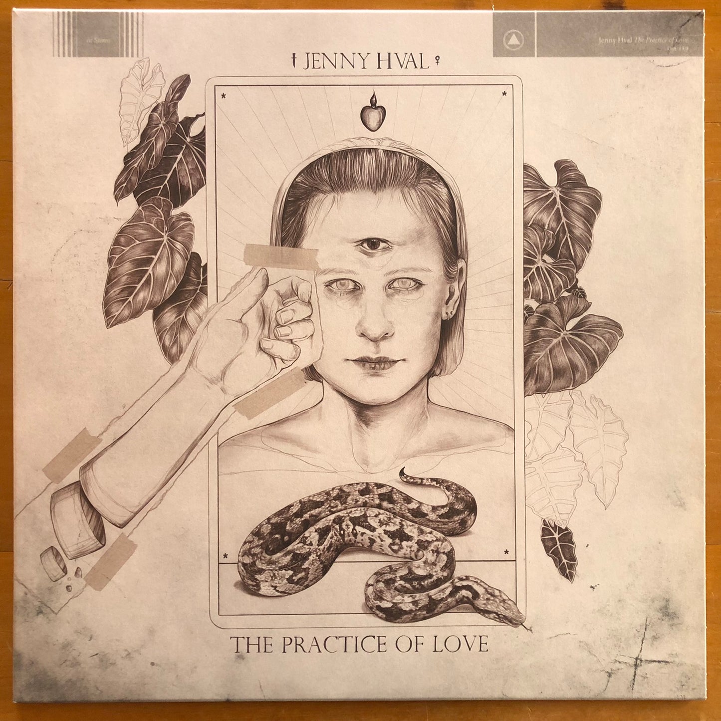 Jenny Hval - The Practice Of Love