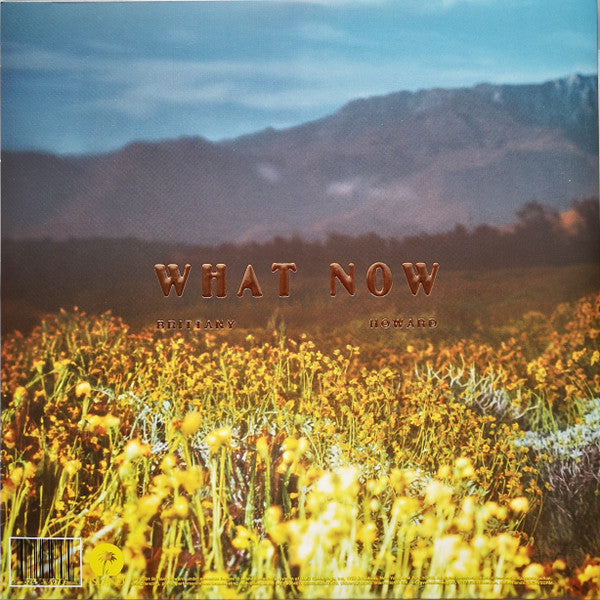 Brittany Howard - What Now