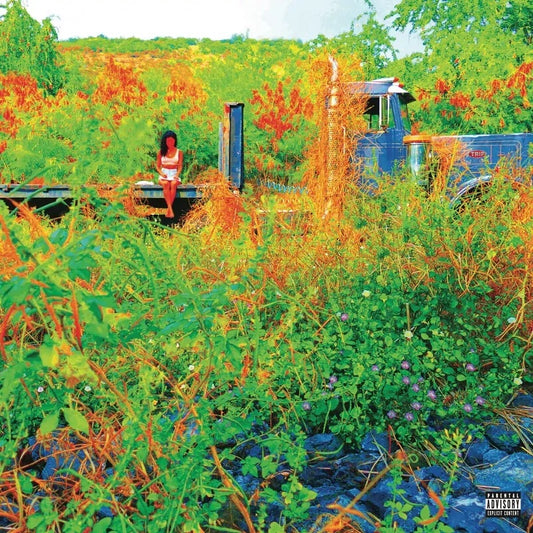 Jhené Aiko - Trip (2LP)