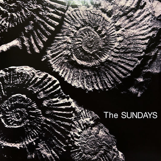 The Sundays - reading, writing and arithmetic