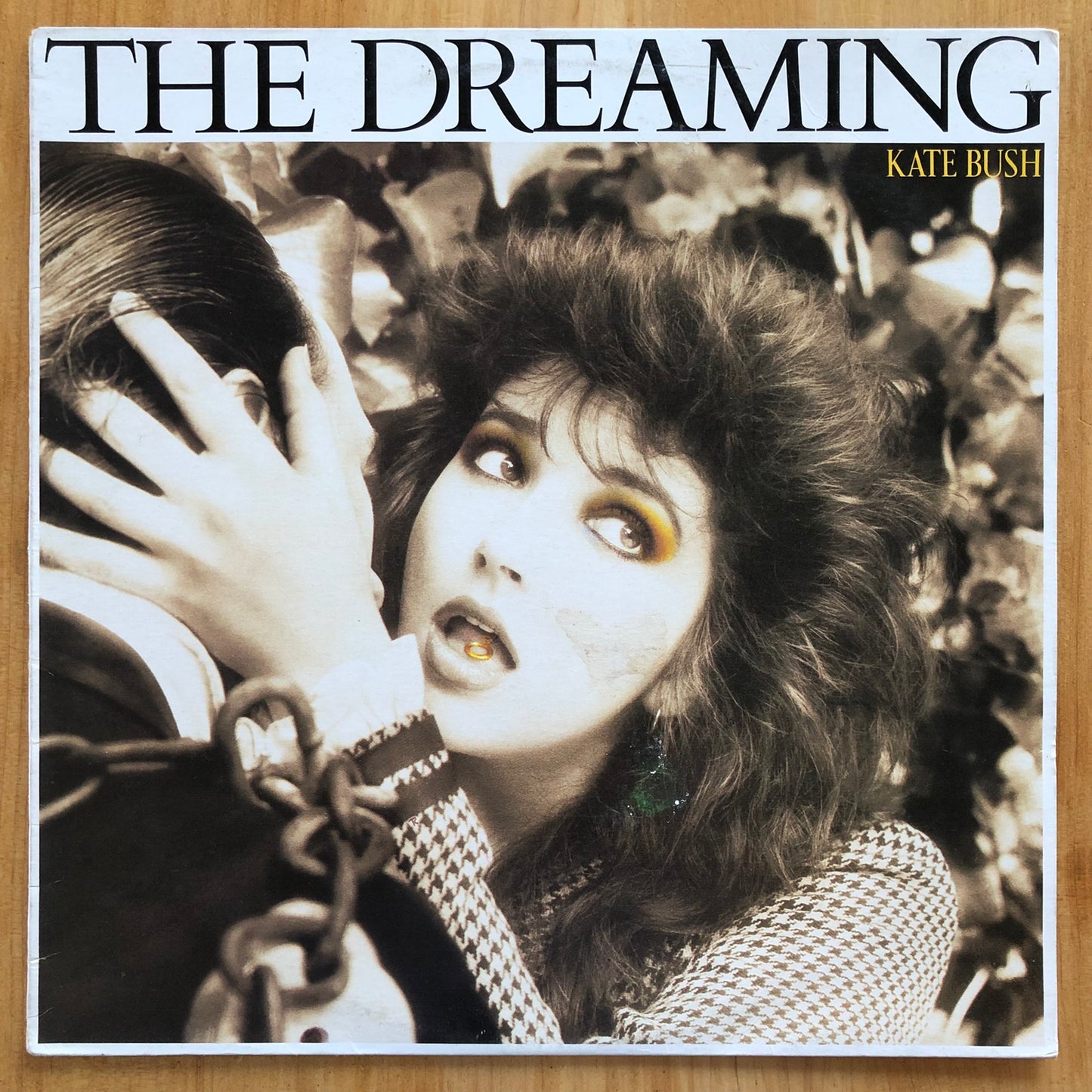 Kate Bush - The Dreaming