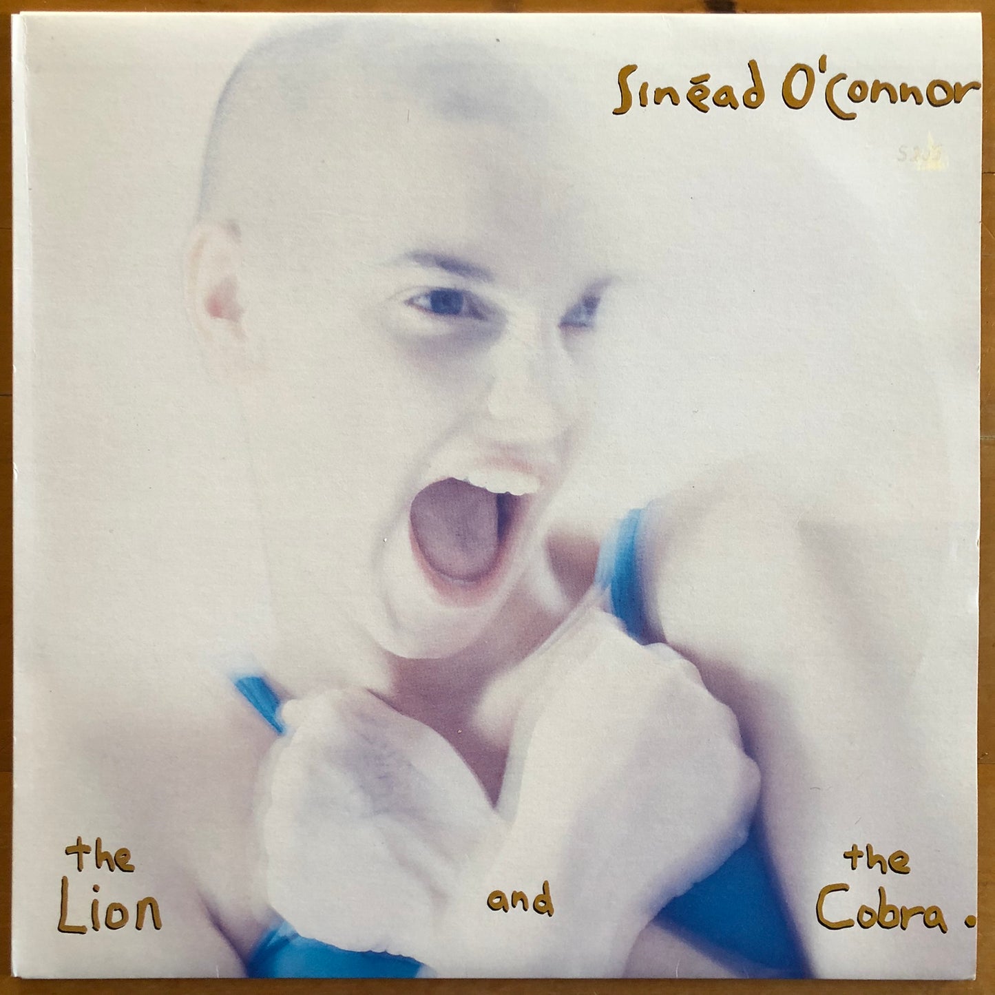 Sinéad O'Conner - The Lion And The Cobra