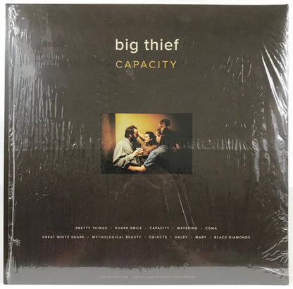 Big Thief - Capacity